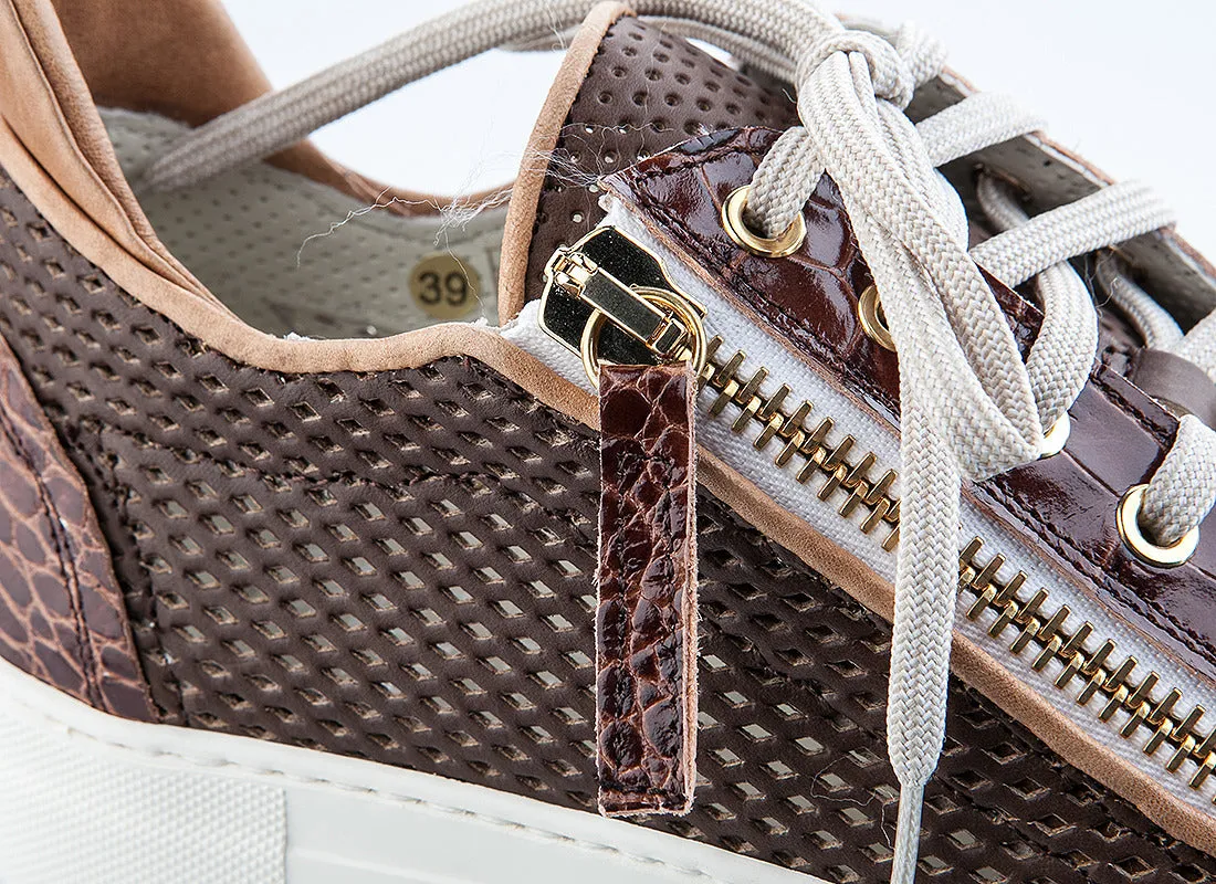 6317 Bagatto Shoes / Brown