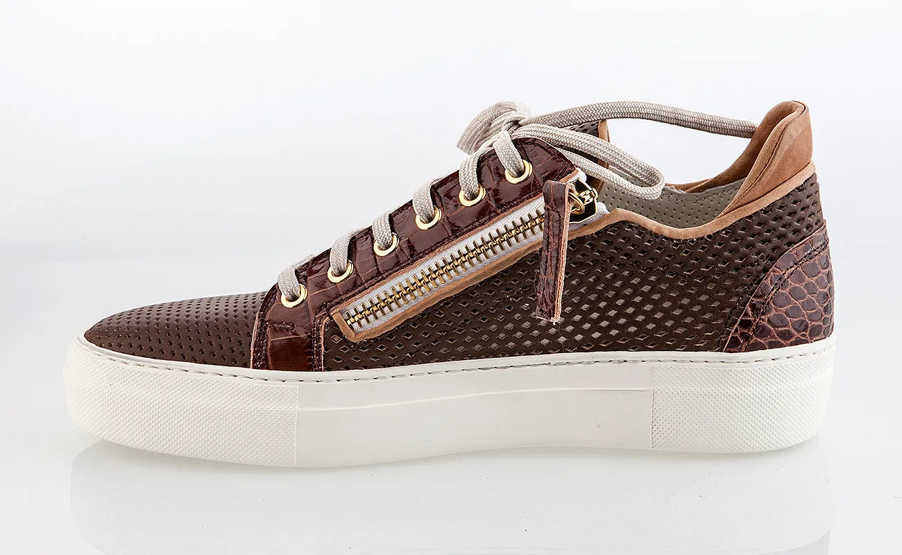 6317 Bagatto Shoes / Brown