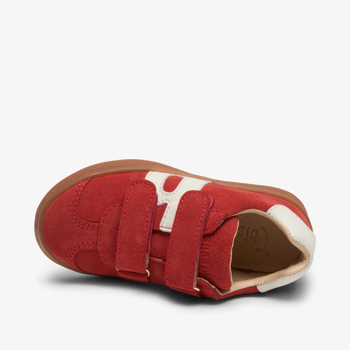 bisgaard bay v red
