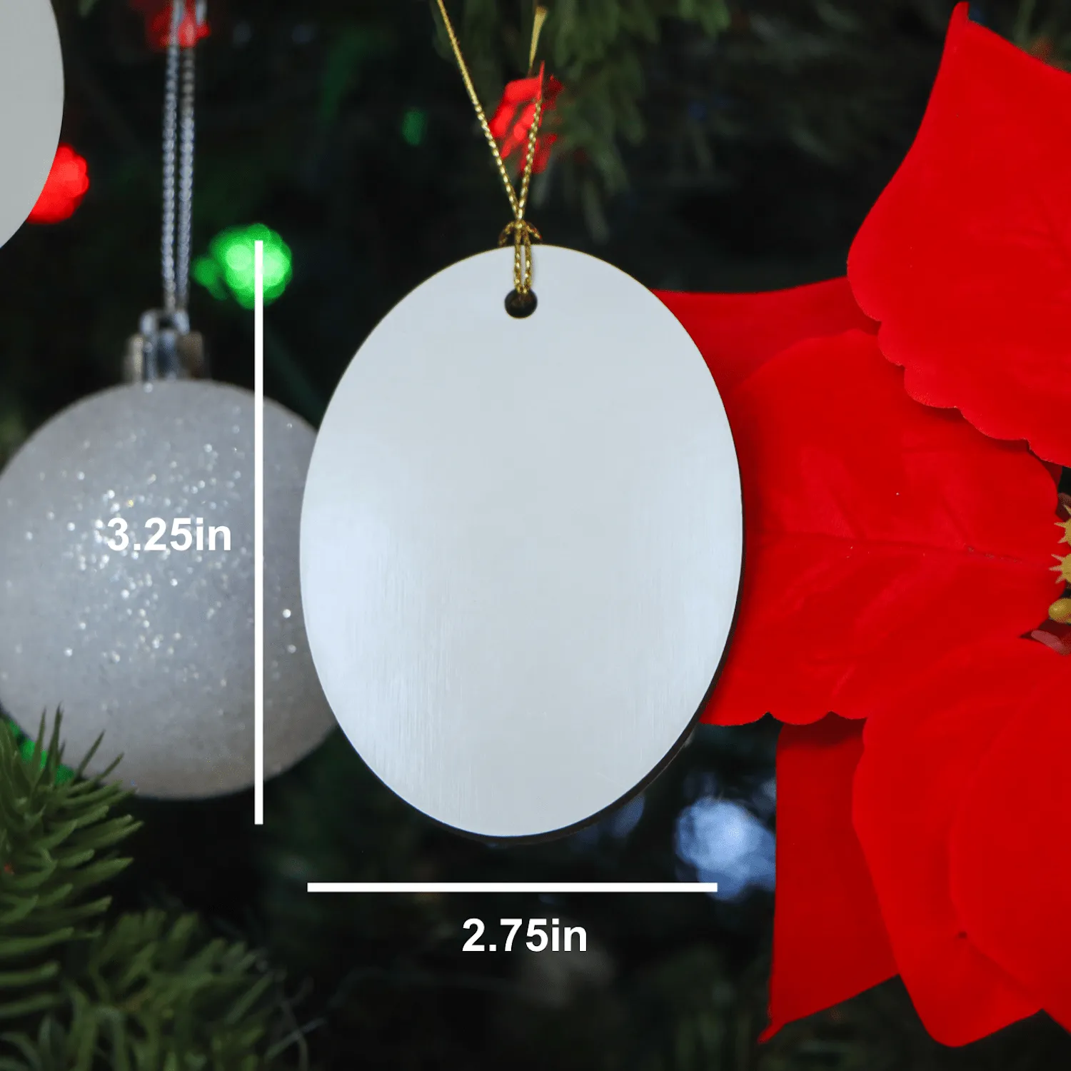 Funny Fitness Trainer Oval Ornament Gifts from Friends for Christmas, 'I'm A Fitness Trainer. Not A Magician...'