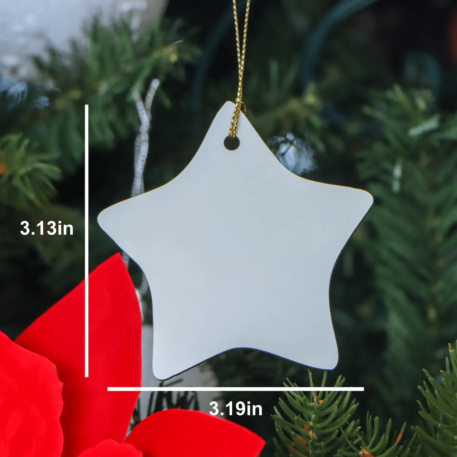 Funny Personal Trainer Gifts for Men from Friends - 'I'm Not Perfect' Star Ornament for Christmas