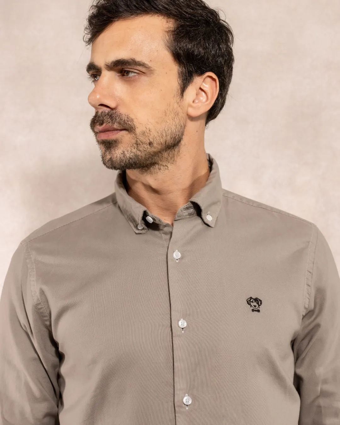 Gray Oxford Stain Resistant Shirt Regular Fit