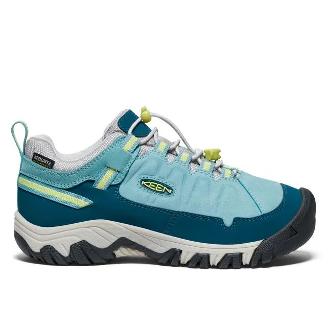 Kids Big Targhee Iv Waterproof Hiking Shoe